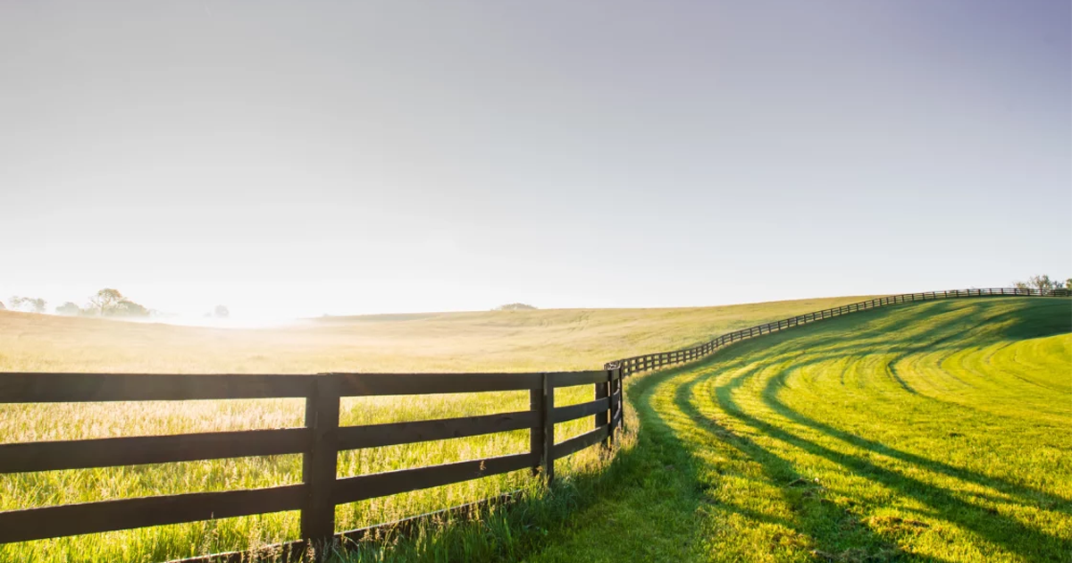 Government Grants for Farmers and Growers