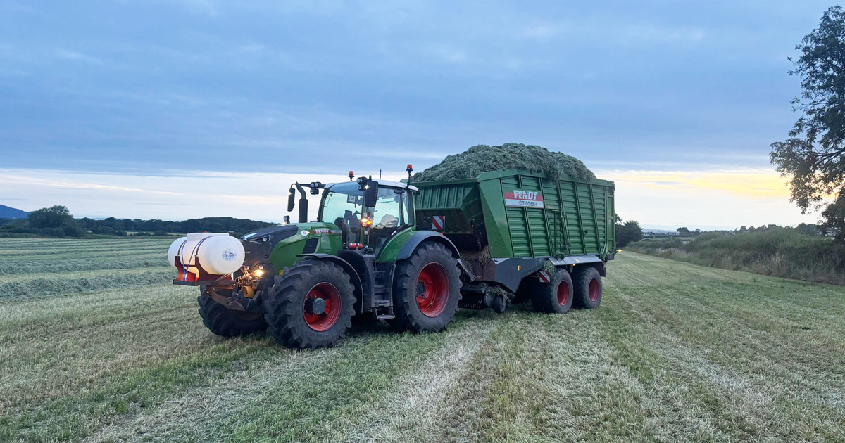 New Tigo joins the Newport Fendt Family