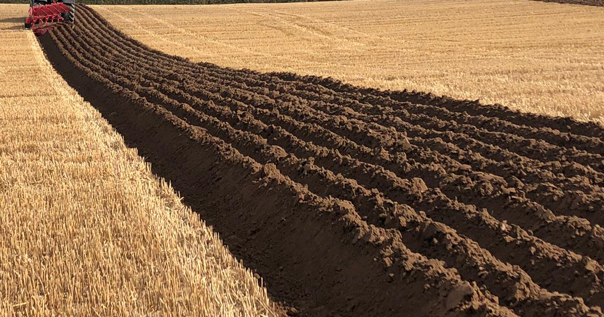All Wales Ploughing Match