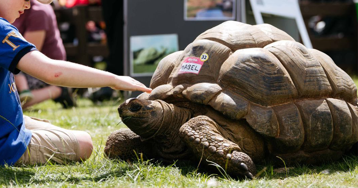 Burwarton Show 6th August 2026