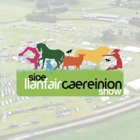 Llanfair Caereinion Show