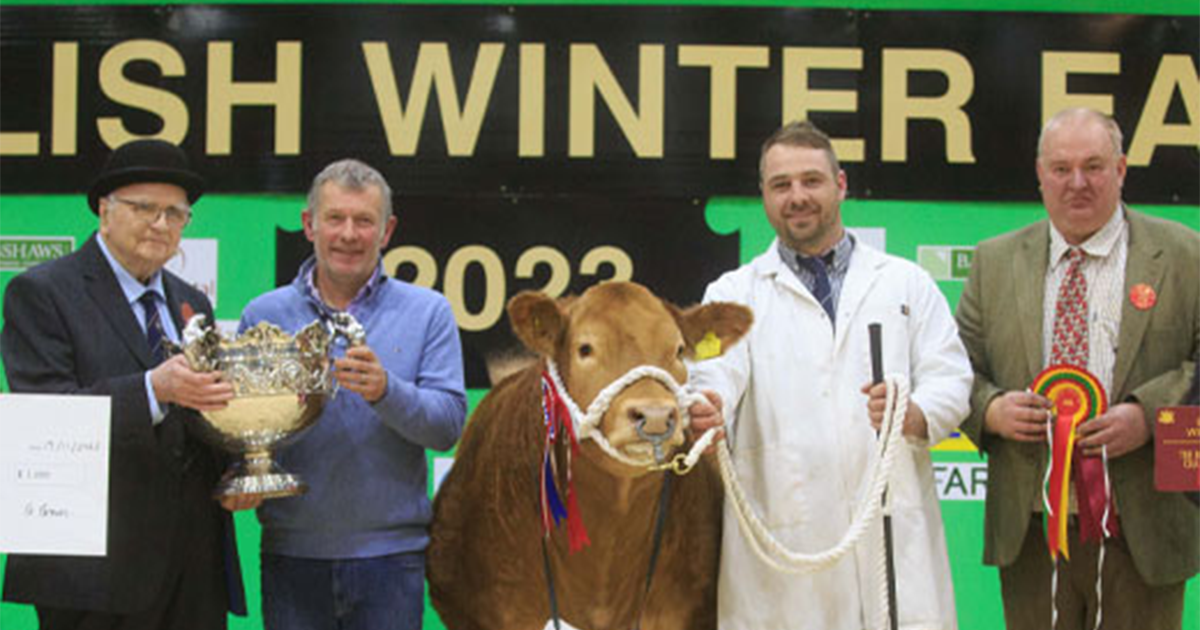 English Winter Fair