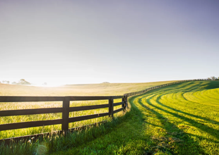 Government Grants for Farmers and Growers