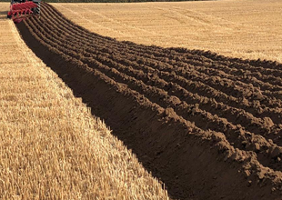 Cheshire Ploughing Match
