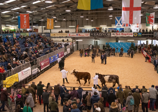 RWAS Winter Fair
