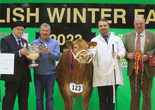 English Winter Fair