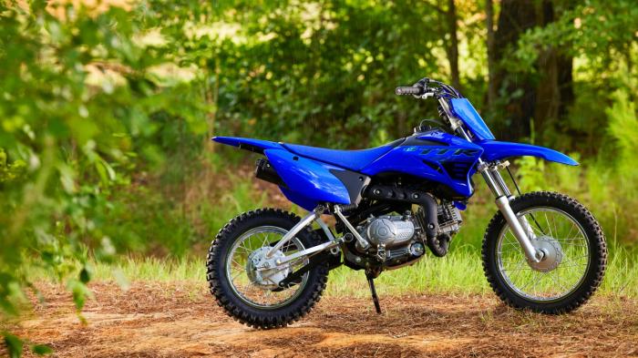 New Yamaha TT-R110 Trial Bike